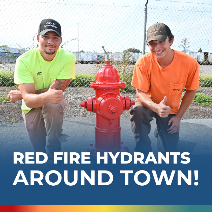 Two people with their thumbs up next to a red fire hydrant.