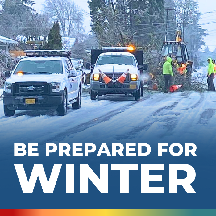 Winter Weather. Crew members working on removing fallen tree from street in the snow.