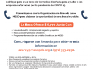 Small Business Grant Flyer SPANISH