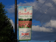 All-America streetscape banner -Sonic